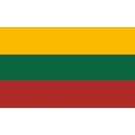 Lietuvos valstybinė vėliava SPAUSTA 1x1,7m su karabinais   
